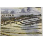 Mason Wells Watercolor