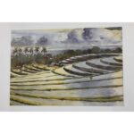 Mason Wells Watercolor