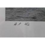 Photo of New York City World Trade Centers, 1979