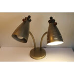 Goose Neck [tick]Double[tick] Lamp