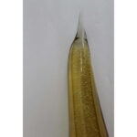 Murano Salviati Amber Bird