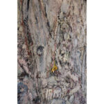 Monumental Outsider Art Painting