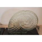 Pair of Glass Nautilus Lamps