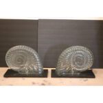 Pair of Glass Nautilus Lamps