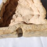 David Gilhooly (1943-2013) Ceramic Steak, 2001